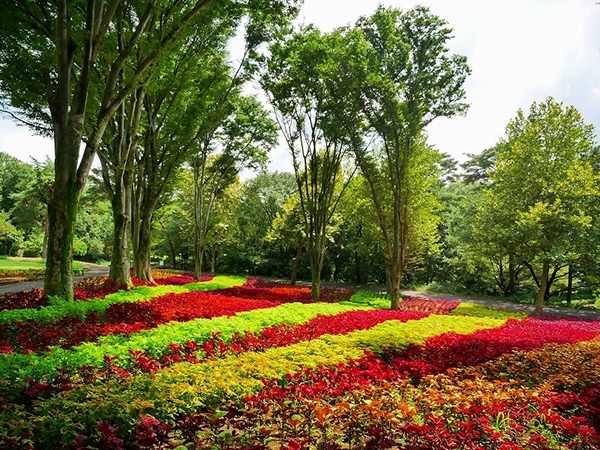 国営武蔵丘陵森林公園