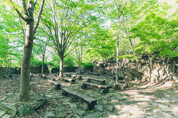 Mahora稲穂山